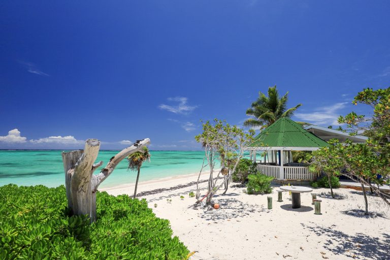 Barracuda Bar